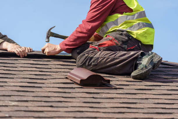 Best Roof Gutter Cleaning  in Cullowhee, NC